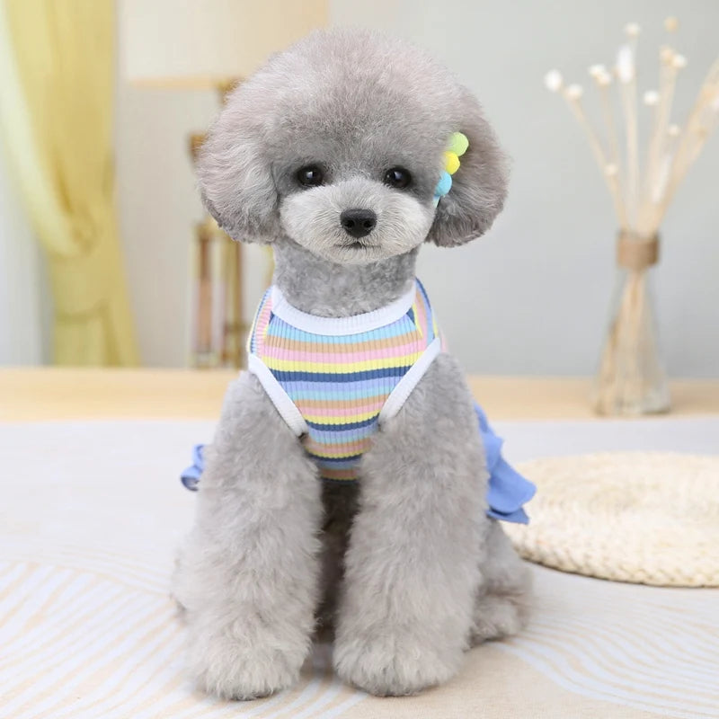 School Uniform Dress for Dogs - Preppy Vest Outfit for Bulldogs and Small Dogs