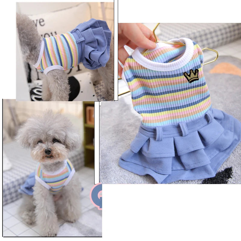 School Uniform Dress for Dogs - Preppy Vest Outfit for Bulldogs and Small Dogs