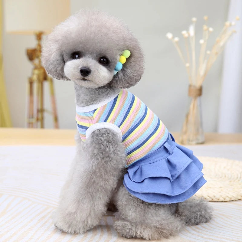 School Uniform Dress for Dogs - Preppy Vest Outfit for Bulldogs and Small Dogs
