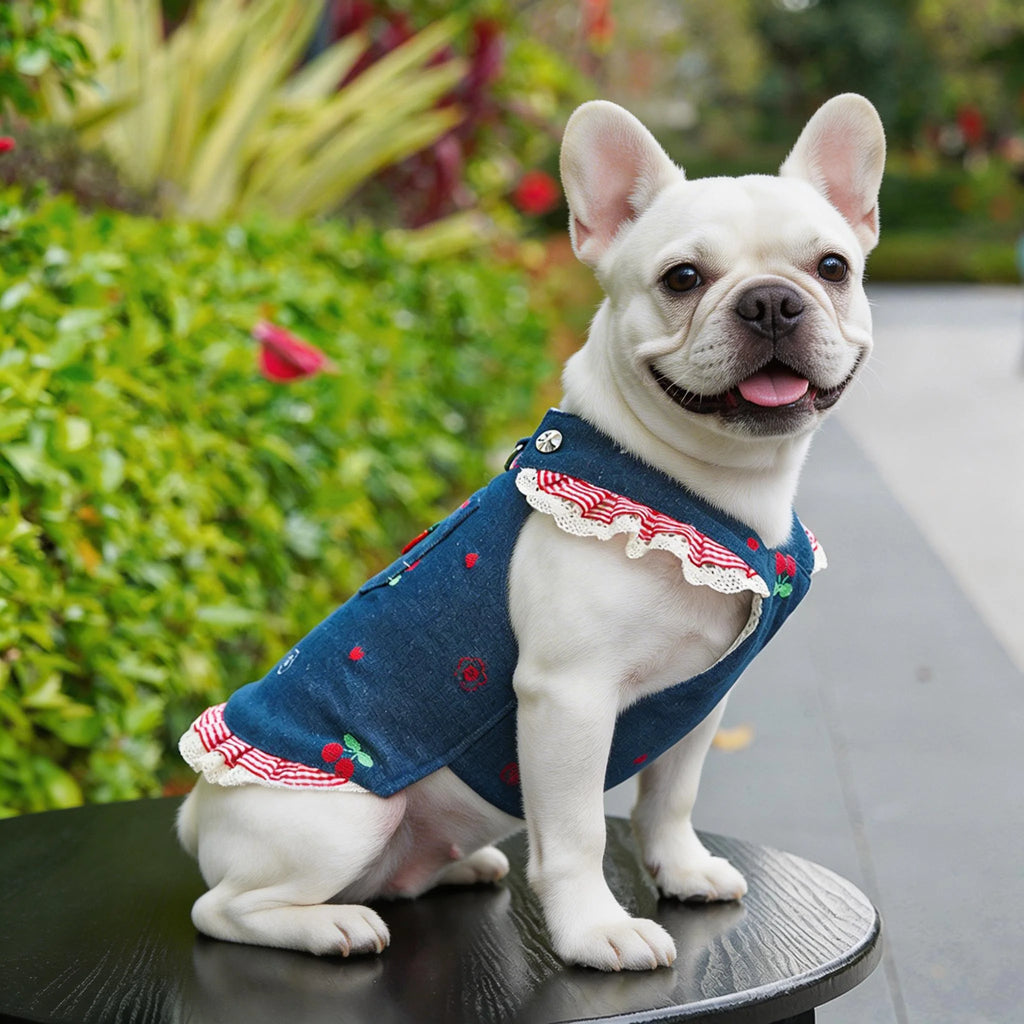 Denim Dog Dress & Harness Set with Matching Leash - Chic Outfit for Dogs and Cats