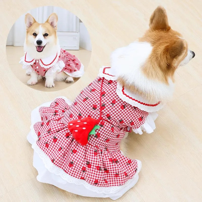 Strawberry Plaid Dress for Dogs & Cats - Cute Cotton Spring Outfit