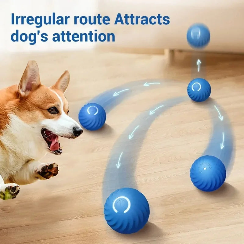 Automatic Rolling Pet Ball