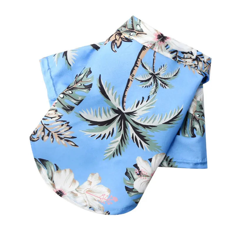 Pet wearing MORLIRA summer shirt