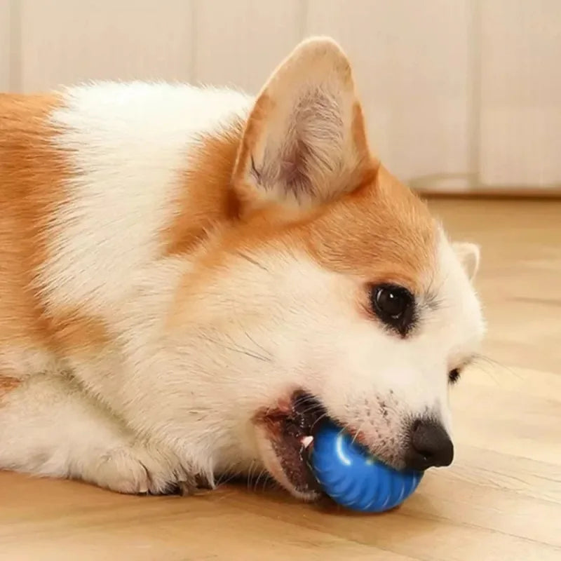Automatic Rolling Pet Ball