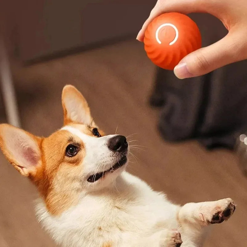 Automatic Rolling Pet Ball
