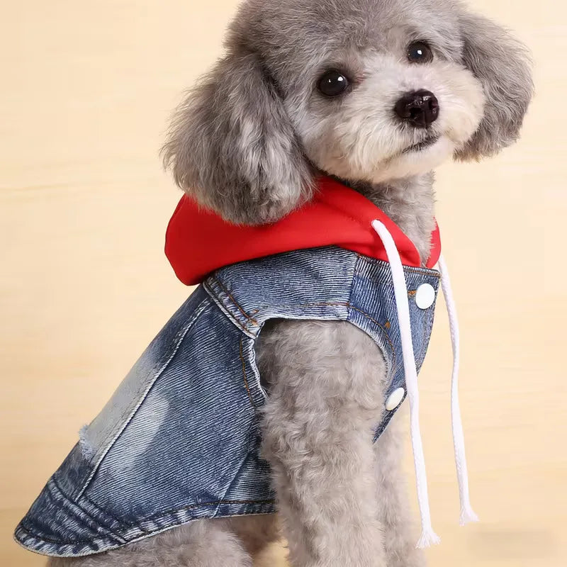 Designer Denim Hoodie Jacket for Small Dogs - Trendy Cowboy Shirt with Cap