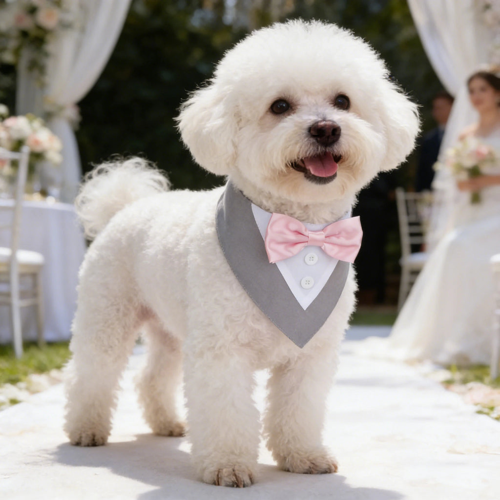 Formal Dog Tuxedo Bandana with Bow Tie - Wedding and Birthday Costume