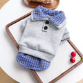Preppy Blue Plaid Hoodie for Small Dogs and Cats - Two-Legged Pullover with Button Detail