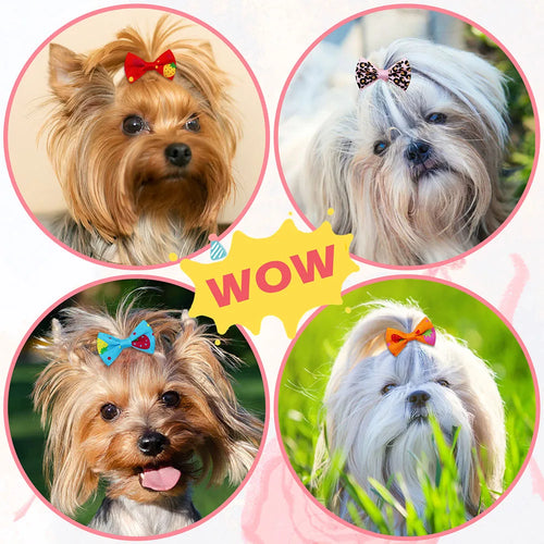 30-Pack Mixed Color Dog Hair Bows with Rubber Bands - Cute Grooming Accessories
