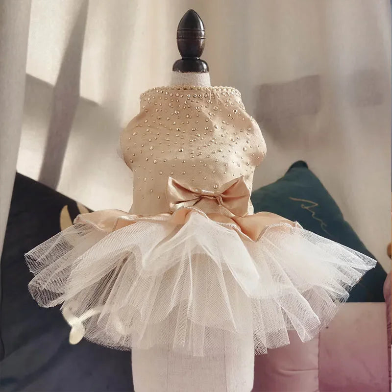 Tulle Lace Princess Dress for Small Dogs and Cats - Sweet Summer Skirt