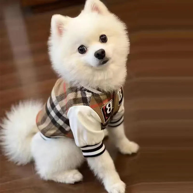 Warm Baseball Jacket for Dogs - Cozy Cotton Coat for Fall and Winter