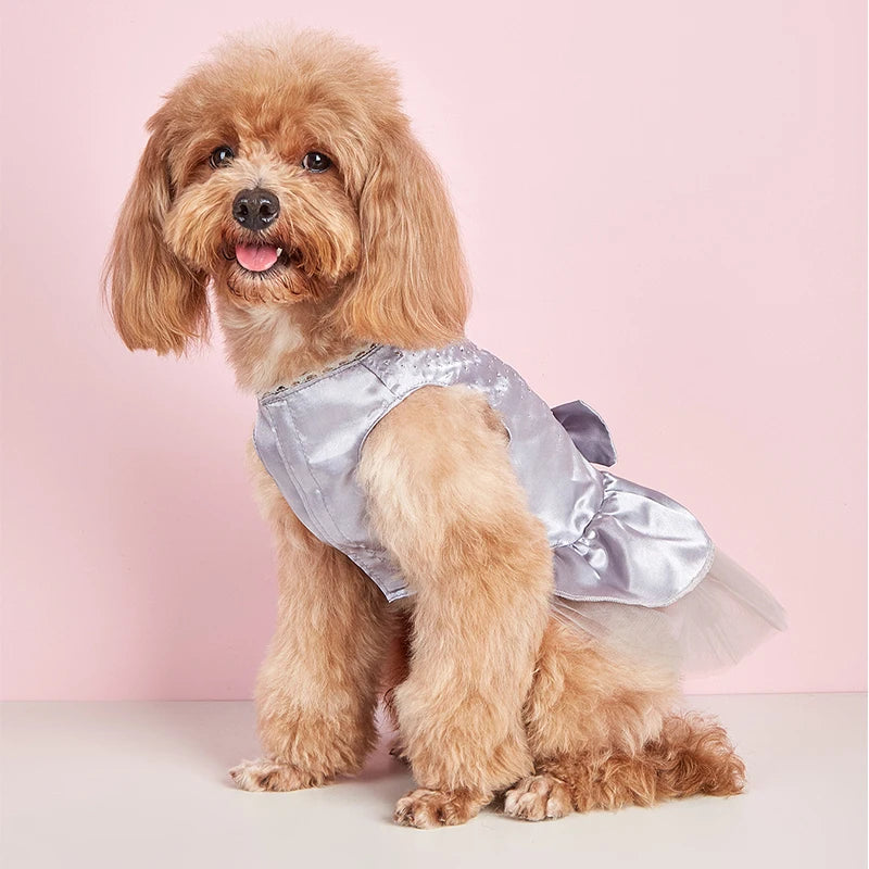 Tulle Lace Princess Dress for Small Dogs and Cats - Sweet Summer Skirt
