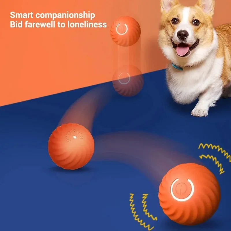 Automatic Rolling Pet Ball