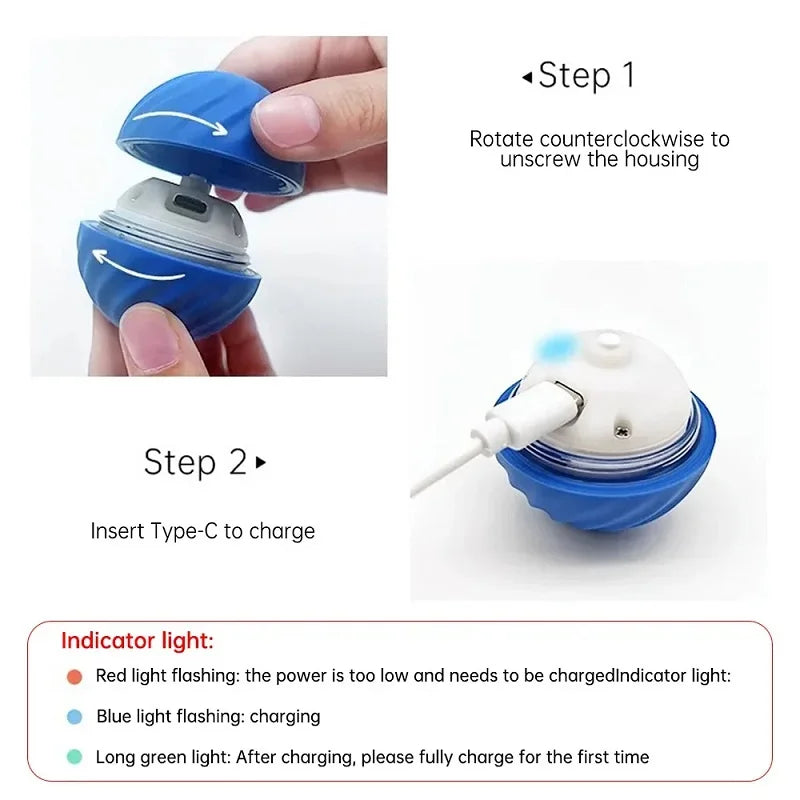 Automatic Rolling Pet Ball
