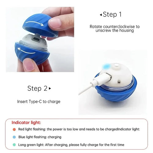 Automatic Rolling Pet Ball