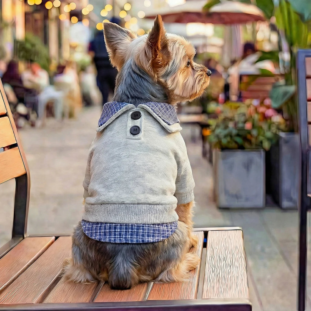 Preppy Blue Plaid Hoodie for Small Dogs and Cats - Two-Legged Pullover with Button Detail