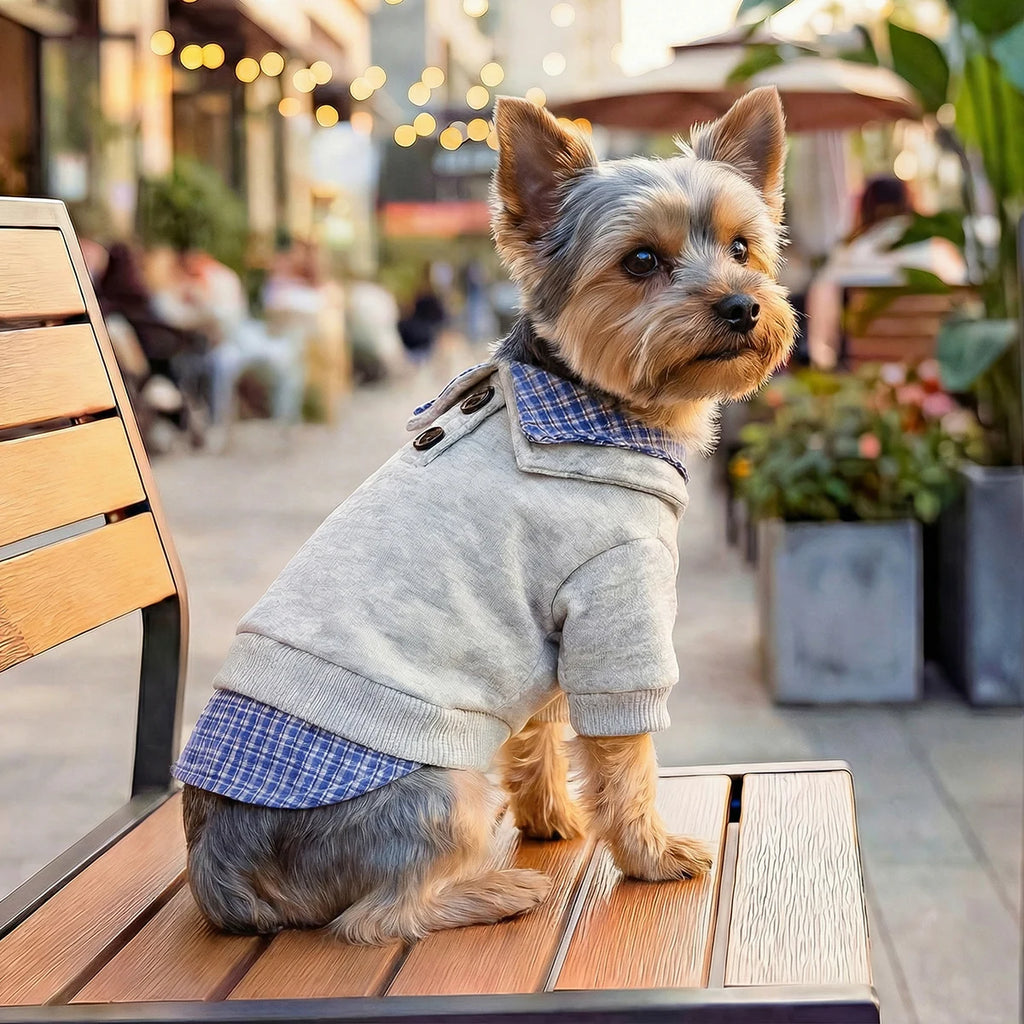 Preppy Blue Plaid Hoodie for Small Dogs and Cats - Two-Legged Pullover with Button Detail