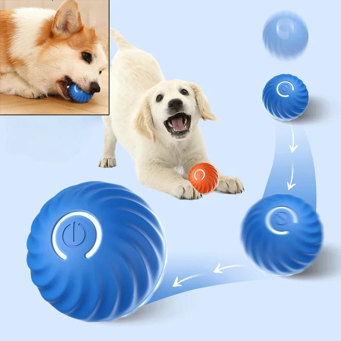 Automatic Rolling Pet Ball