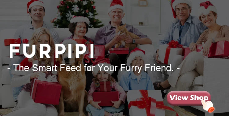 Smart Pet Feeder with Camera